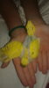 20160927_203336.jpg