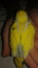 20160927_203430.jpg