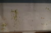 DSC04143.JPG