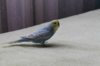 IMG-20160228-WA0000.jpg
