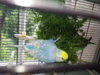 20160627_143558.jpg