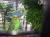 20160627_143418.jpg