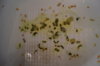 DSC04153.JPG
