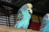 IMG_6716.JPG