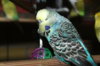 IMG_6735.JPG