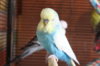 IMG_6741.JPG