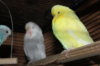 IMG_6713.JPG