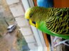 IMG_20160930_132055_516.jpg