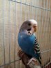 IMG_20160930_195806_605.jpg