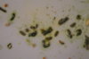 DSC04191.JPG