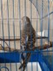 20160930_231938.jpg
