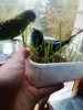 IMG_20161001_132808_555.jpg