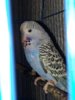20161001_124701.jpg