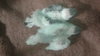 20161001_135103.jpg