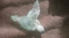 20161001_135030.jpg