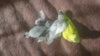 20161001_135052.jpg