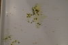 DSC04197.JPG