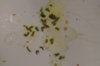 DSC04199.JPG