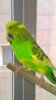 WP_20160413_002.jpg