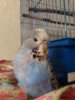 20161002_184959.jpg