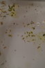 DSC04203.JPG