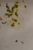 DSC04204.JPG