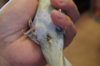 DSC04211.JPG