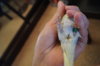 DSC04218.JPG