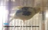 IMG-20161001-WA0006.jpg