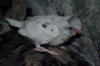 DSC_1276.JPG