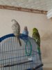 20161003_175059.jpg