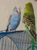 20161003_175212.jpg