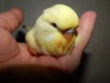 DSCN7944.JPG