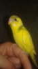 20161004_102956.jpg