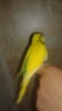 20161004_102824.jpg