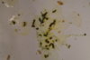 DSC04239.JPG