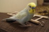 DSC04241.JPG