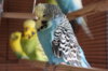 IMG_6757.JPG
