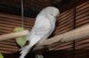 IMG_6792.JPG