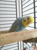 20161005_121625.jpg