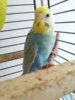 20161005_121643.jpg
