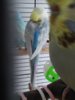 20161005_122307.jpg