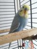 20161005_120452.jpg