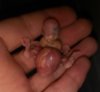 IMG-20161005-WA0093.jpg