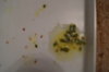 DSC04256.JPG