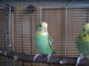DSC03757.JPG