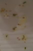 DSC04266.JPG