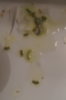 DSC04261.JPG