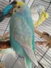 20161003_100156.jpg