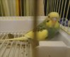 DSC00543E001.jpg
